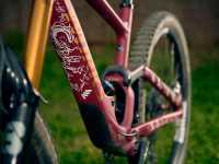 ams-frame-polep-signaturewhite-extra (2).jpg