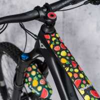T3-F010-frameTAPE3000-fruit-2.jpg