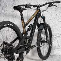 frame-guard-illuminati-gold-24057-fp-f002.jpg