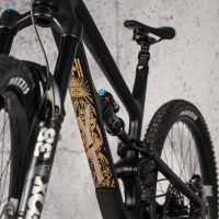 frame-guard-illuminati-gold-24058-fp-f002.jpg