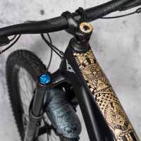frame-guard-illuminati-gold-24059-fp-f002.jpg
