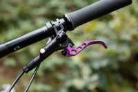 ShootingSH_15092024_SH_Verbaut_web-77.jpg