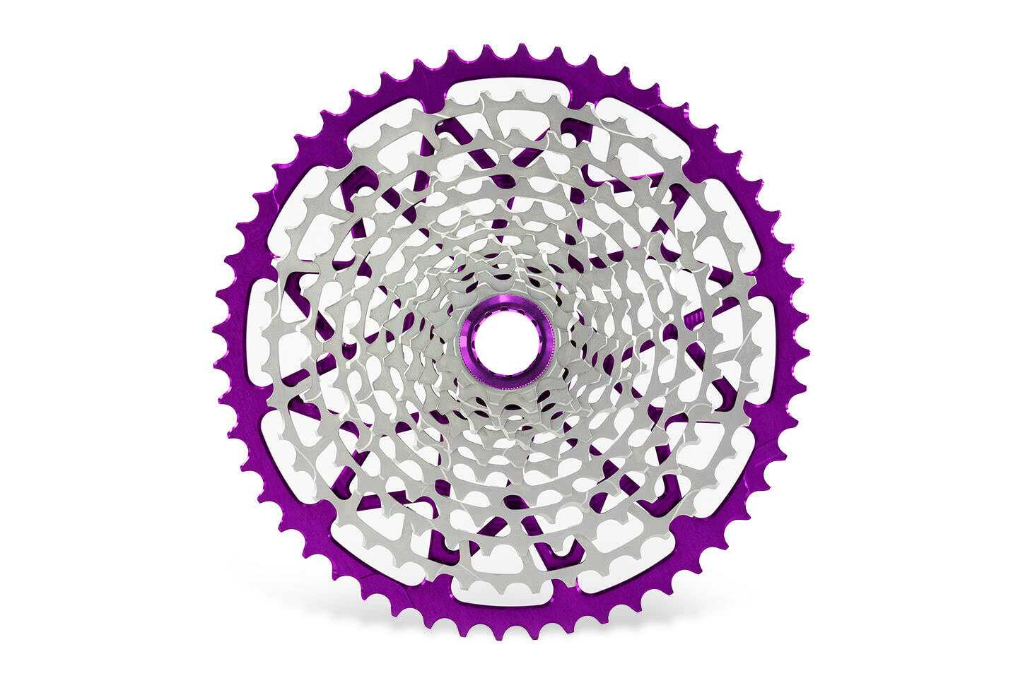image-2.jpeg