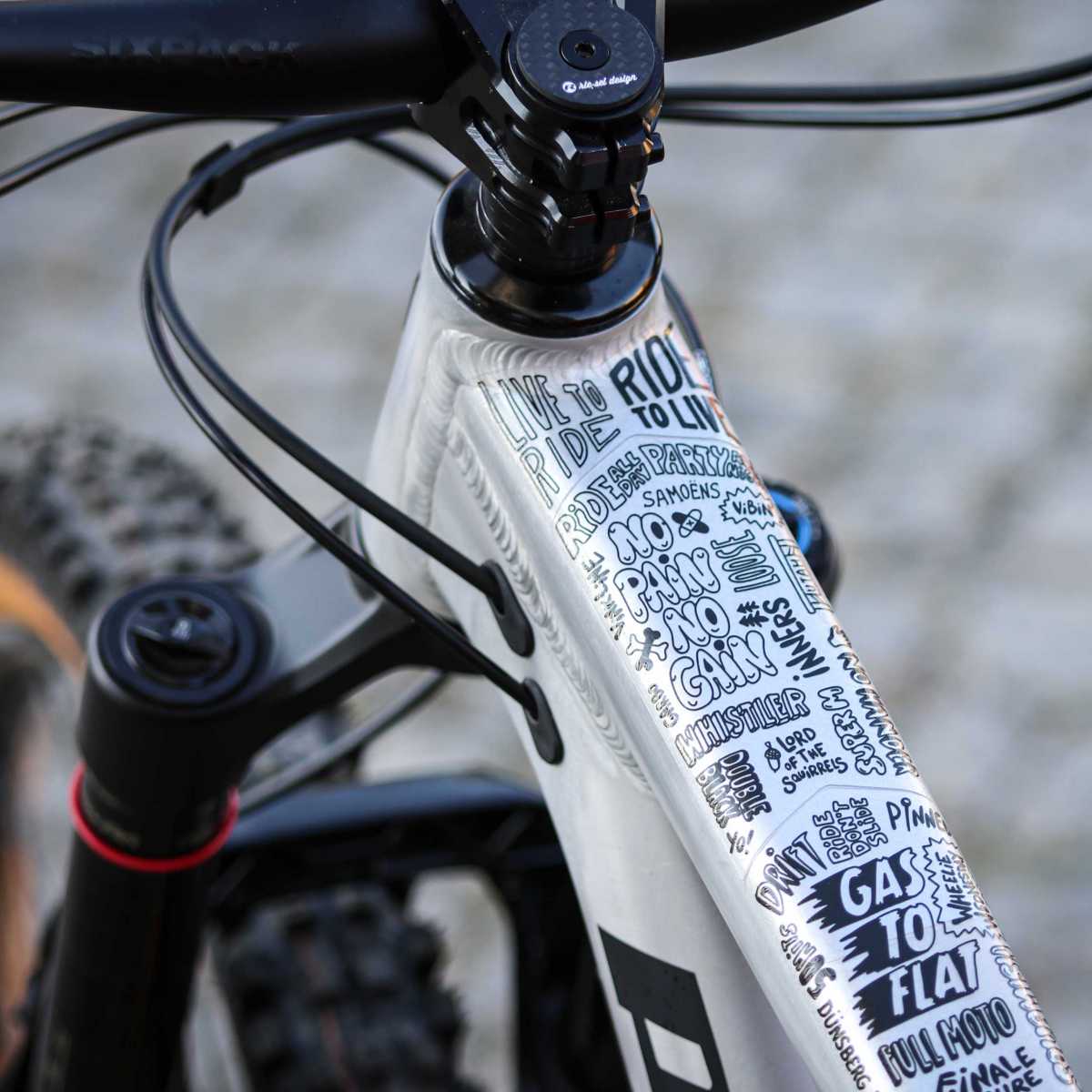 frame-guard-slang-24346-fp-f003.jpg
