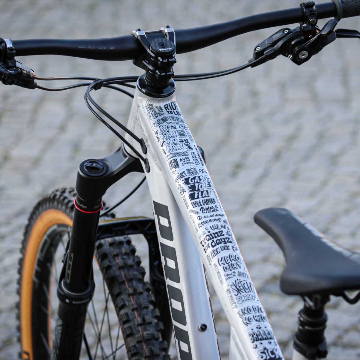 frame-guard-slang-24361-fp-f003.jpg