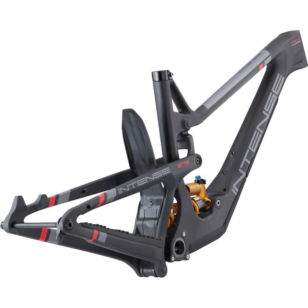 Tracer 279 1.jpg
