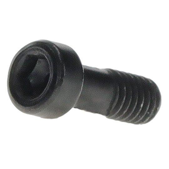 Bosch śruba do Purion 400